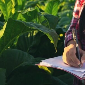 Agricultural Science Level 8 Advanced Diploma Course Thumbnail