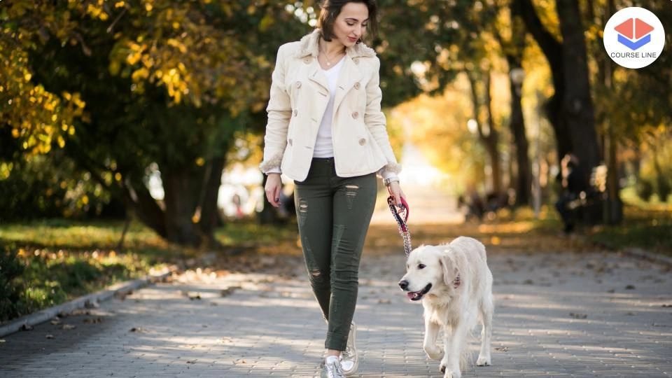Dog Walking Level 8 Advanced Diploma Course Thumbnail