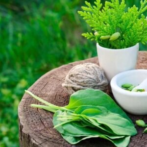 Naturopathy Level 8 Advanced Diploma Course Thumbnail