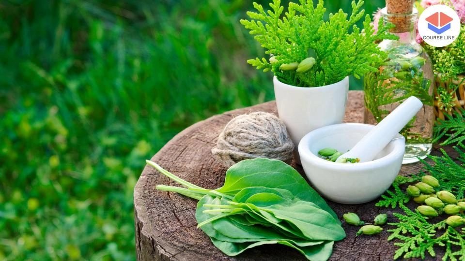 Naturopathy Level 8 Advanced Diploma Course Thumbnail