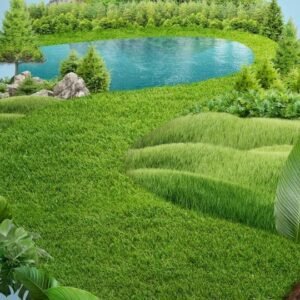 Ecology Level 8 Advanced Diploma Course Thumbnail