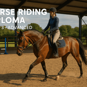 Horse Riding Diploma image showing a rider practising advanced techniques in a modern training arena.
