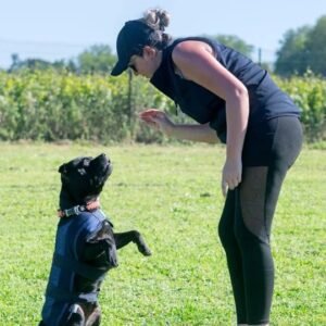 Dog Training Level 3 Advanced Diploma Course Thumbnail