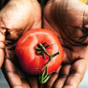 Food Safety Level 3 Advanced Diploma Course Thumbnail