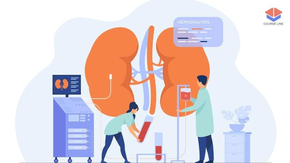Renal Physiology Level 3 Advanced Diploma Course Thumbnail