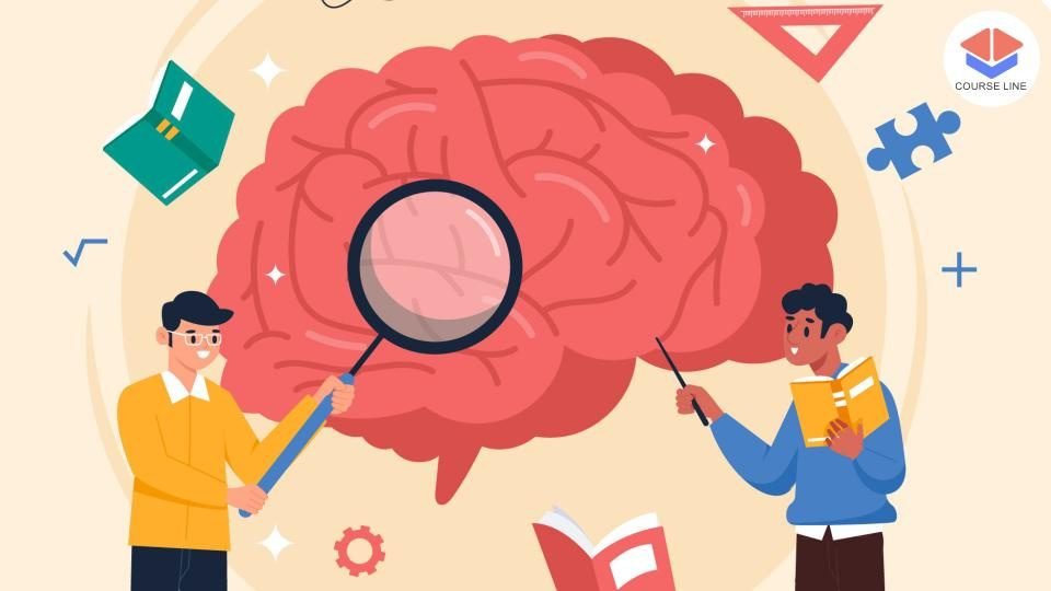 A Level Psychology: Behaviour, Cognition & Research Course Thumbnail