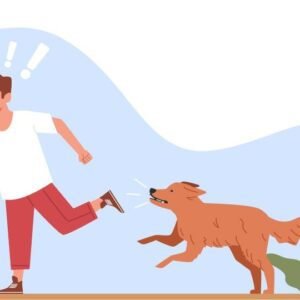 Dog Behaviour Level 8 Advanced Diploma Course Thumbnail