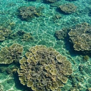 Oceanography Level 8 Advanced Diploma Course Thumbnail