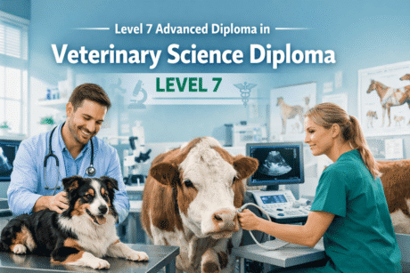 Veterinary Science Diploma Level 7 showing a UK veterinary professional examining animals in a modern clinical setting